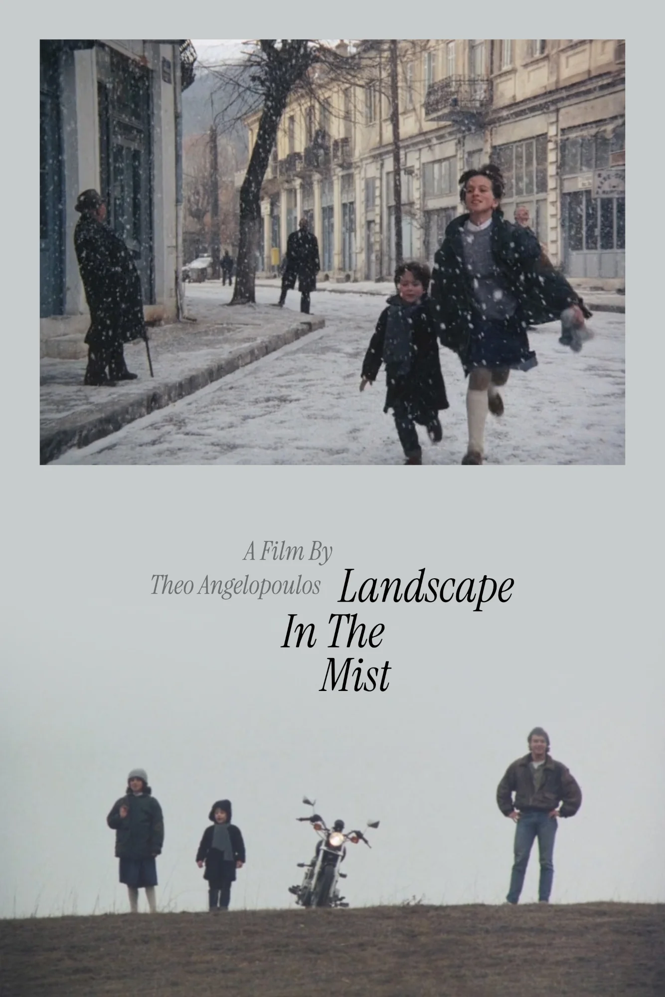 Landscape in the Mist